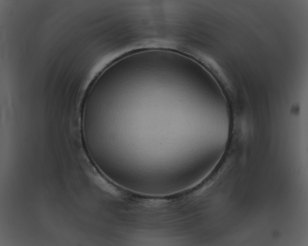 X0000093561184200710221416