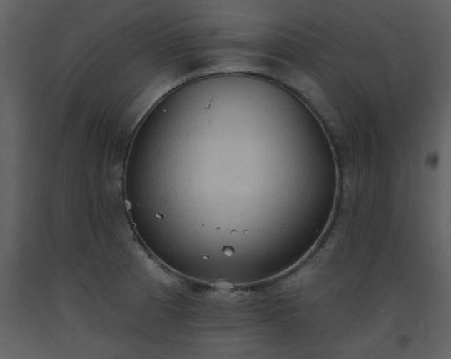 X0000093561185200710221416