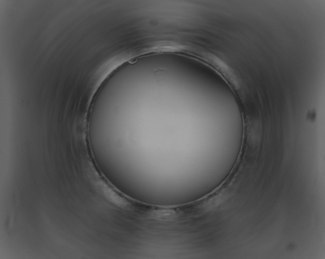 X0000093561186200710221416