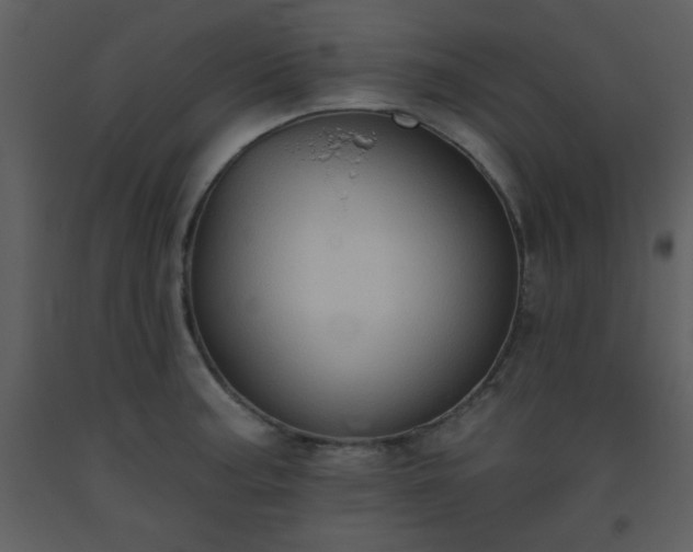 X0000093561187200710221416