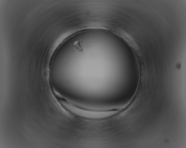 X0000093561188200710221416