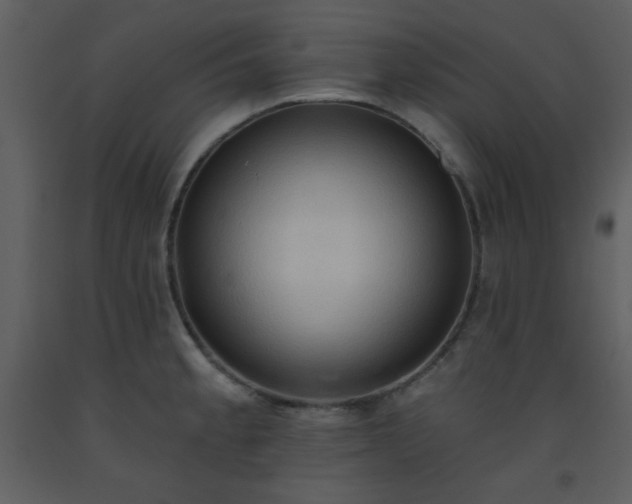 X0000093561189200710221416