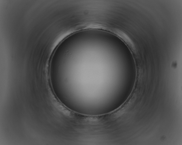 X0000093561190200710221416