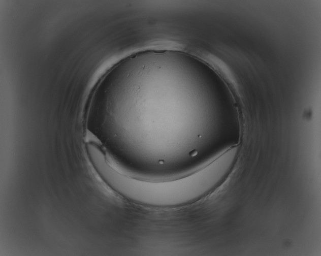X0000093561192200710221416