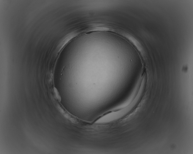 X0000093561193200710221416