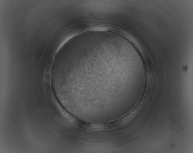 X0000093561194200710221416