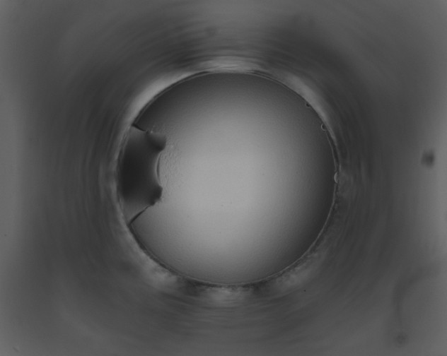 X0000093561195200710221416