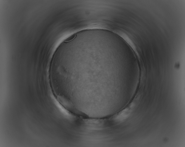 X0000093561197200710221416