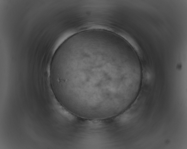 X0000093561198200710221416