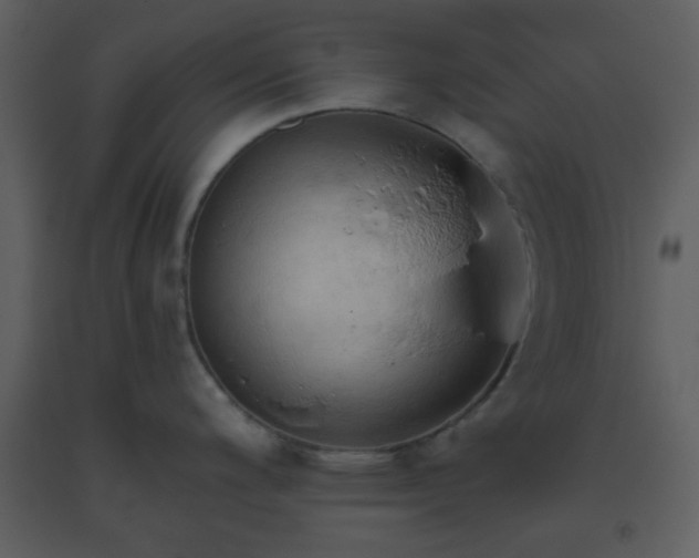 X0000093561200200710221416
