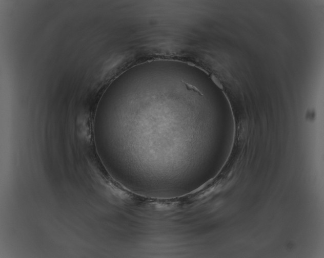 X0000093561202200710221415