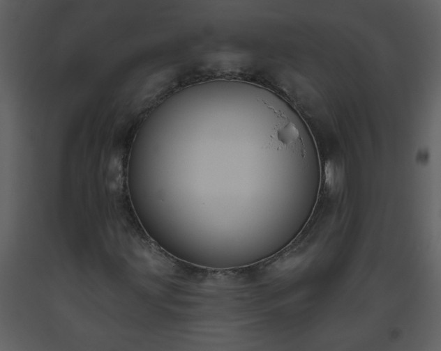 X0000093561203200710221415