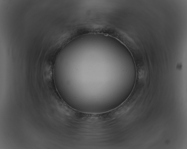 X0000093561204200710221415
