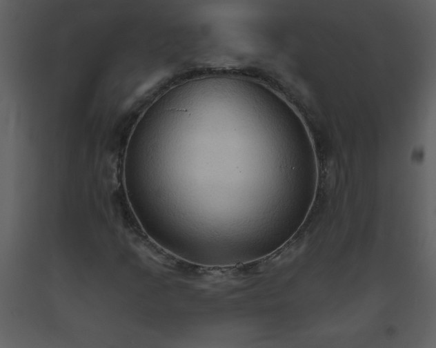 X0000093561205200710221415