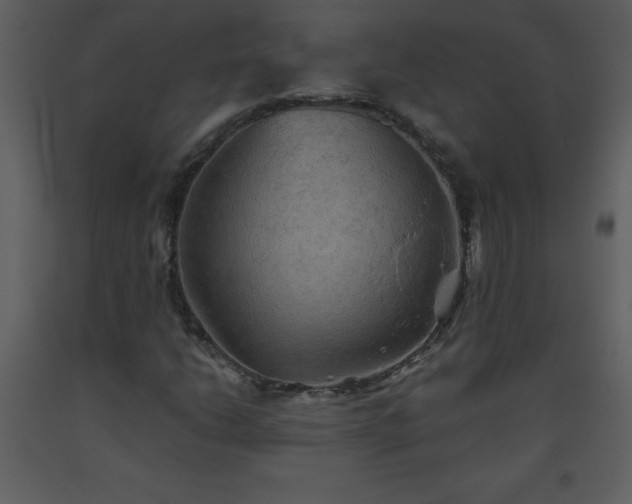 X0000093561206200710221415