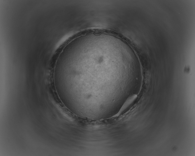 X0000093561208200710221415