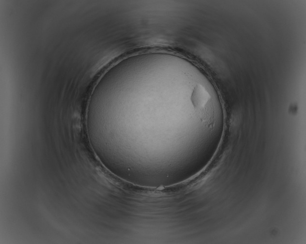X0000093561209200710221415