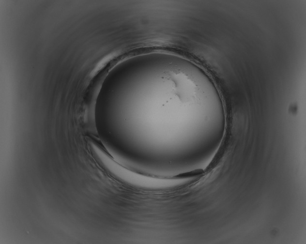 X0000093561210200710221415