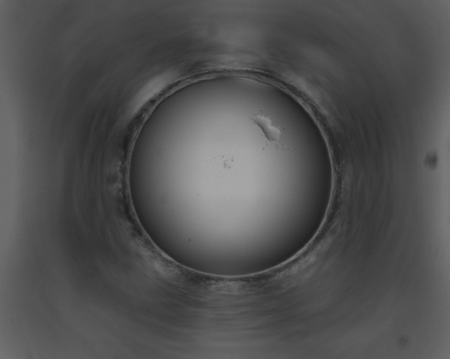 X0000093561211200710221415