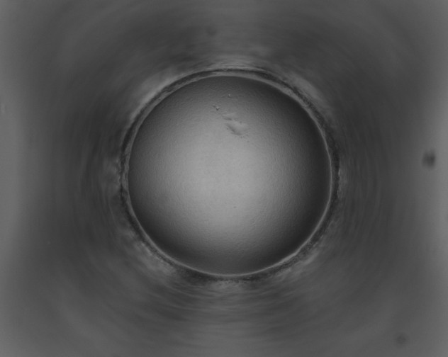 X0000093561212200710221415