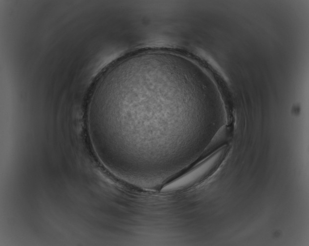 X0000093561213200710221416