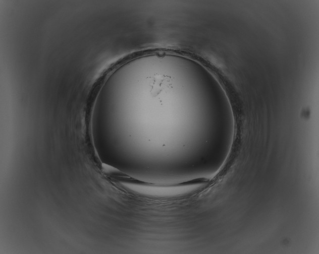 X0000093561214200710221416