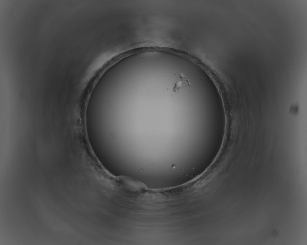 X0000093561215200710221416