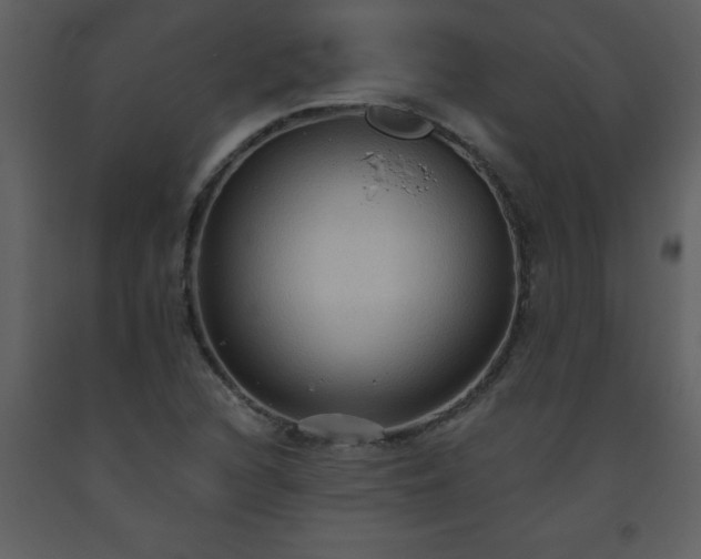 X0000093561216200710221416
