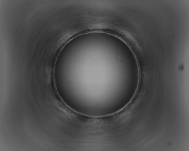 X0000093561217200710221416