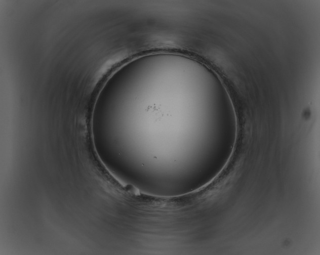 X0000093561218200710221416