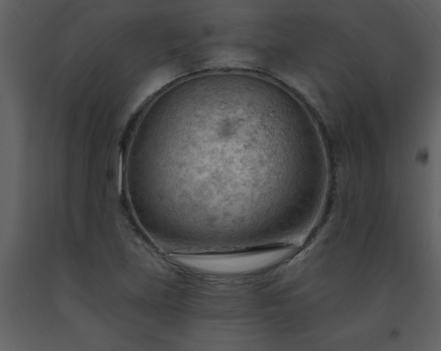 X0000093561219200710221416