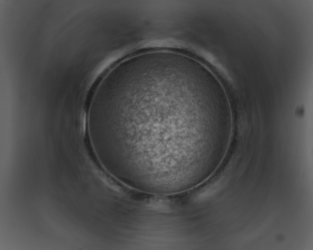 X0000093561221200710221416