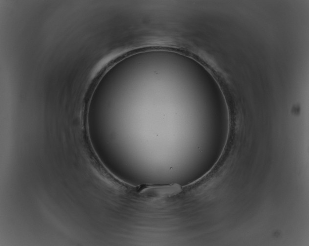 X0000093561222200710221416
