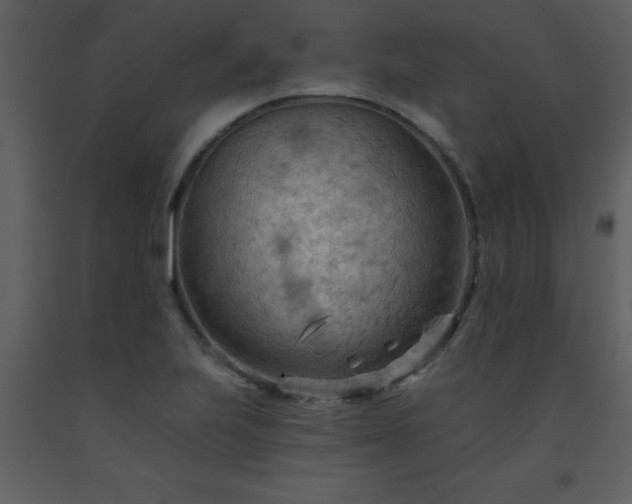 X0000093561223200710221416