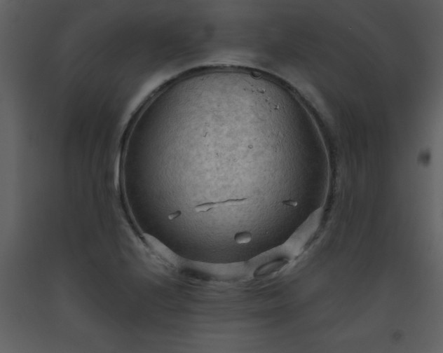 X0000093561224200710221416