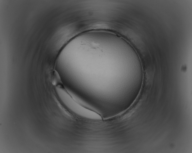 X0000093561225200710221416