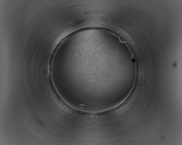 X0000093561226200710221416