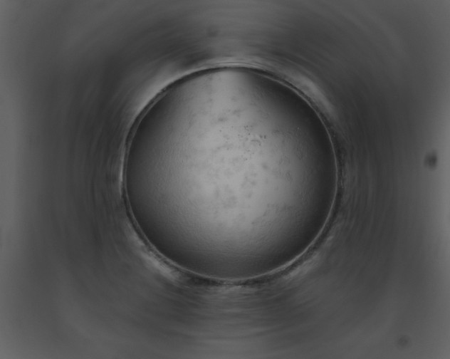 X0000093561228200710221416