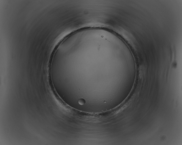 X0000093561229200710221416