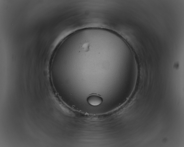 X0000093561230200710221416