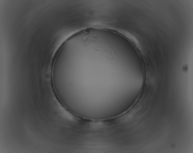 X0000093561231200710221416
