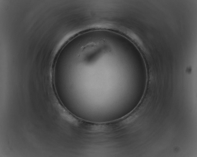 X0000093561232200710221416