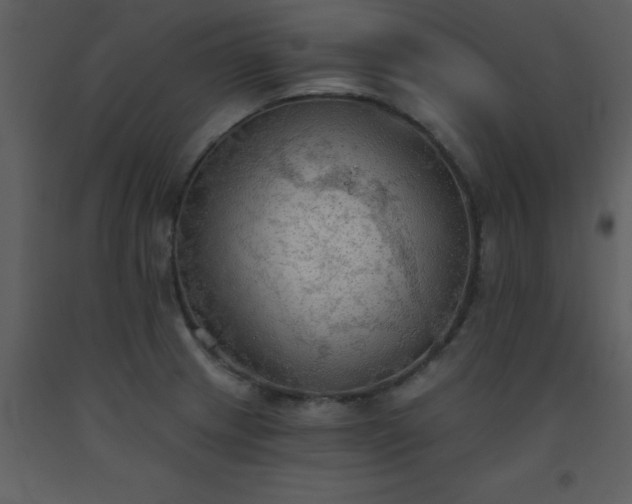X0000093561233200710221416