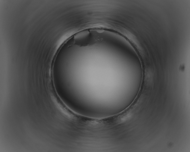 X0000093561234200710221416