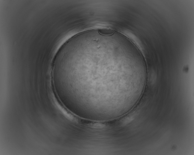 X0000093561235200710221416