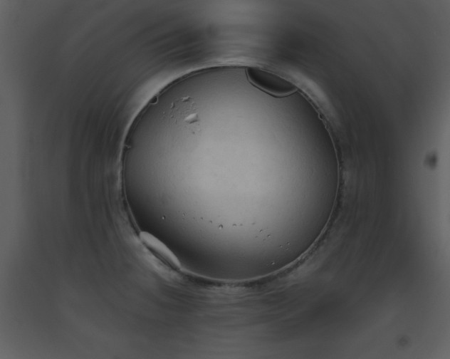 X0000093561236200710221416