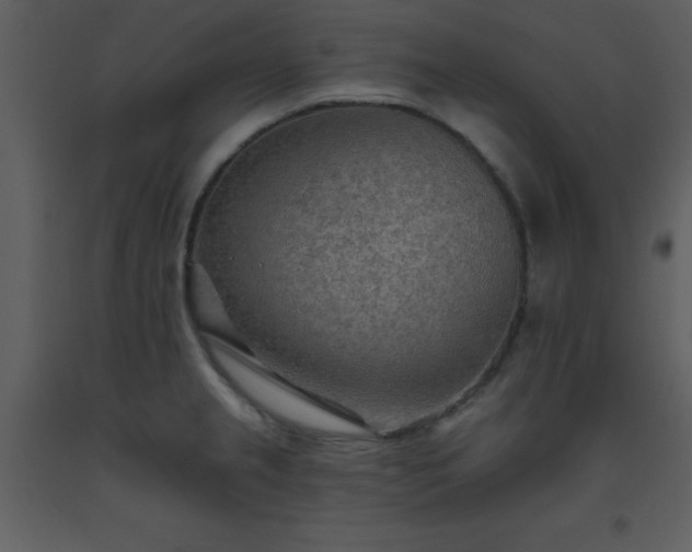 X0000093561237200710221416