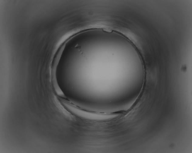 X0000093561238200710221416