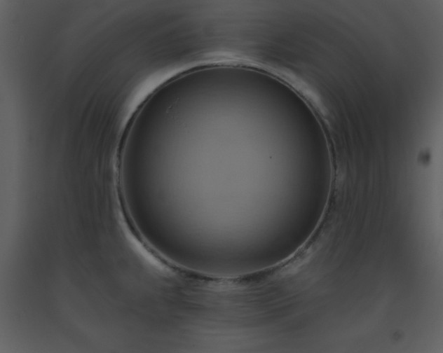 X0000093561239200710221416