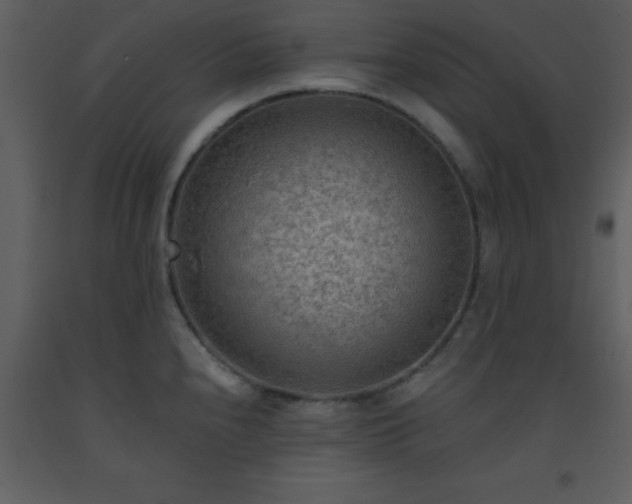 X0000093561240200710221416